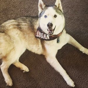 Meet your Posher, Brianne